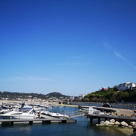 B&B La Salamandra Kitchengarden Forio di Ischia 외부 사진