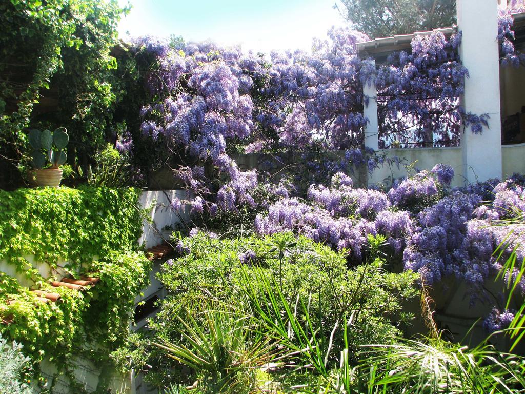 B&B La Salamandra Kitchengarden Forio di Ischia 외부 사진