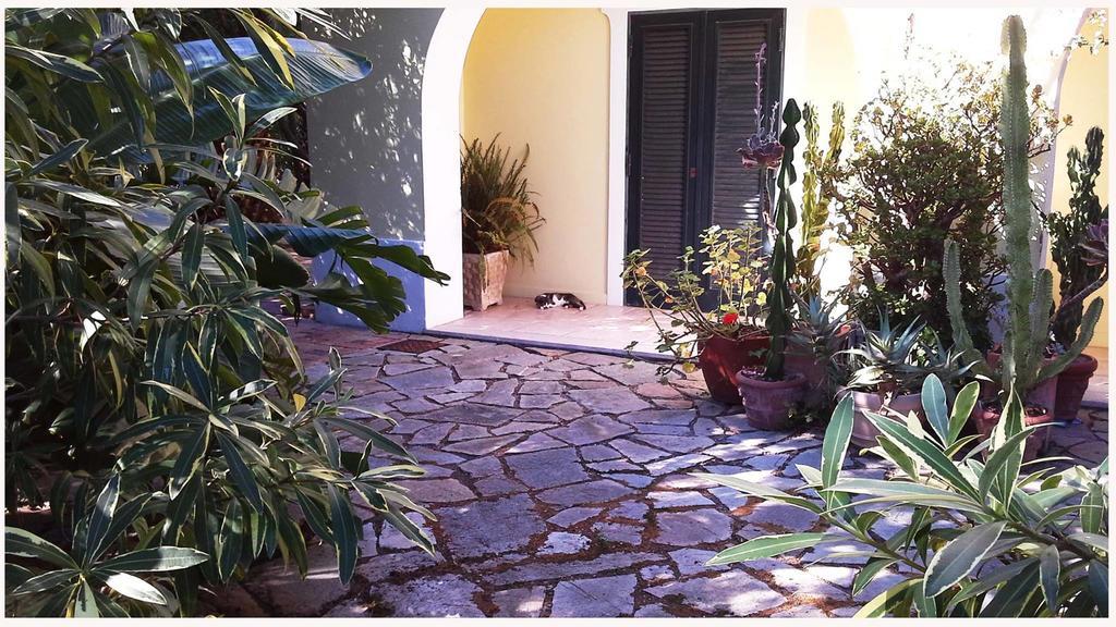 B&B La Salamandra Kitchengarden Forio di Ischia 외부 사진