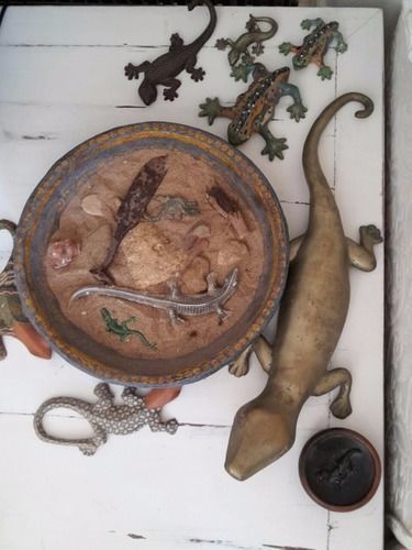 B&B La Salamandra Kitchengarden Forio di Ischia 외부 사진
