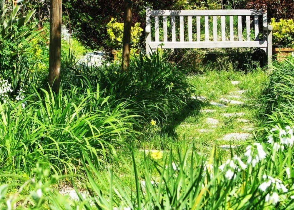 B&B La Salamandra Kitchengarden Forio di Ischia 외부 사진