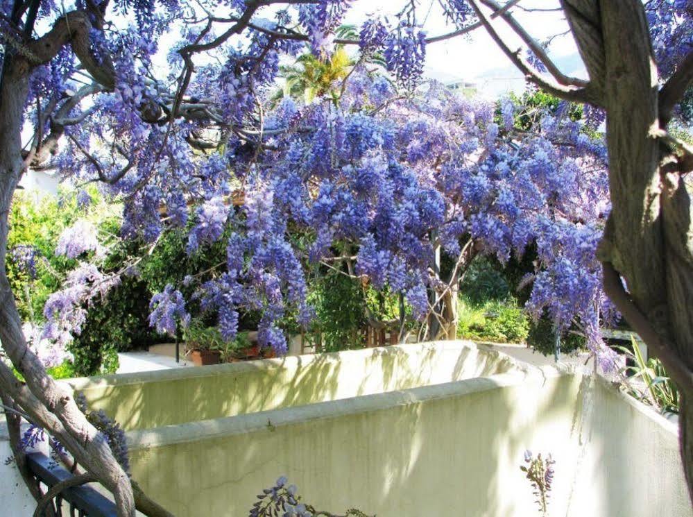 B&B La Salamandra Kitchengarden Forio di Ischia 외부 사진