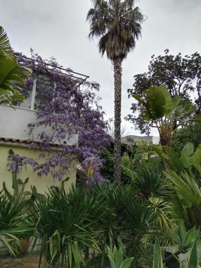 B&B La Salamandra Kitchengarden Forio di Ischia 외부 사진