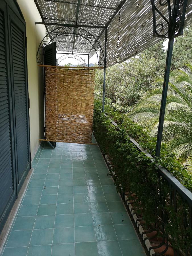B&B La Salamandra Kitchengarden Forio di Ischia 외부 사진