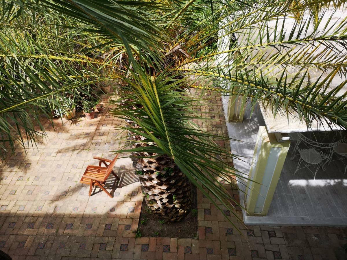 B&B La Salamandra Kitchengarden Forio di Ischia 외부 사진
